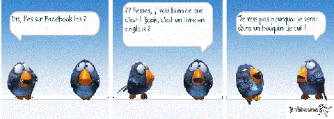 Les oiseaux 12